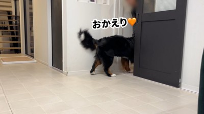 ついにパパさんが帰宅！