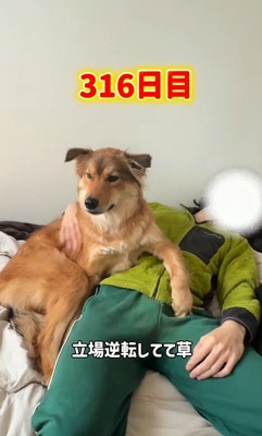 どちらが飼い主かわからない…！