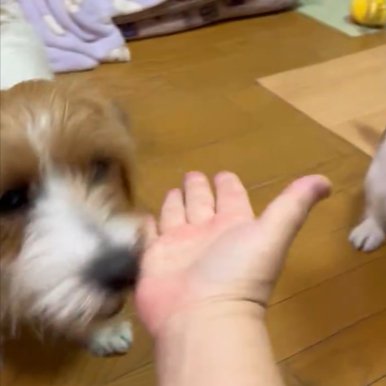 おて