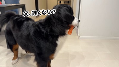 「そういえば…パパ、遅くない？」