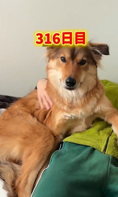 お迎えから約1年後
