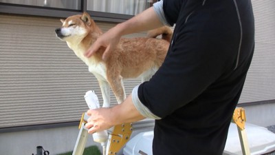 ドライヤー中もお利口さん