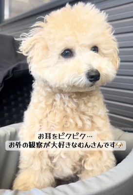 いろんな音に興味津々