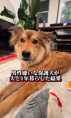ラッキーくん