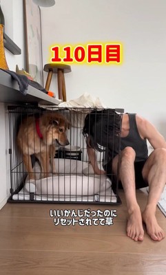 ケージに侵入されてドン引き…