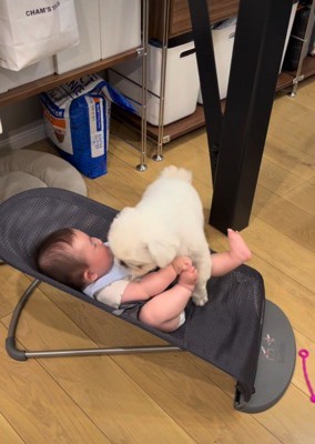 赤ちゃんに乗っちゃった！