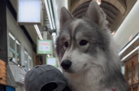 10ヶ月