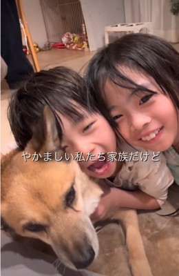 抱きしめられる犬