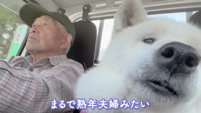 「どこに行くのかな〜」