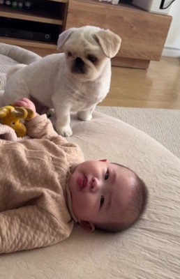 おもちゃが赤ちゃんの手に…