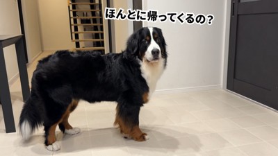 ソワソワしながら待機