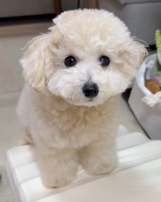 お転婆むんちゃん