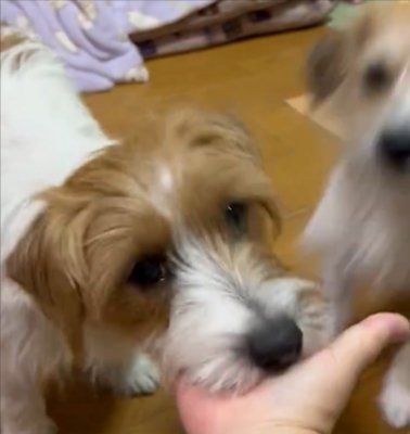 あご