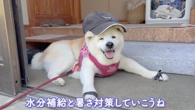 「準備できてますよ」