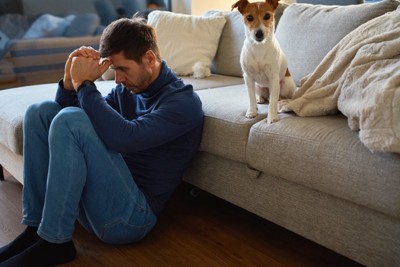 頭を抱える男性と犬