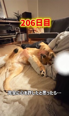 楽しそうにじゃれ合う2人♪