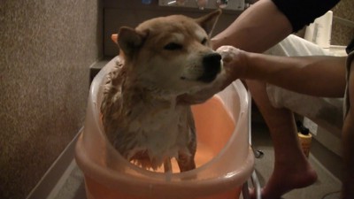 「あれ?気持ちいいかも」