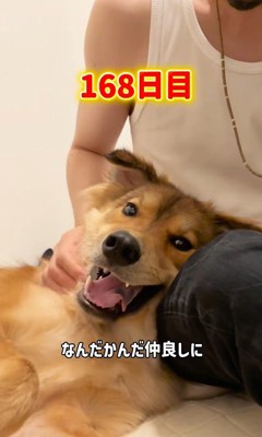 足を枕にしてゴロン♡
