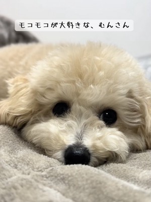 成長がたのしみ％成長がとってもたのしみ