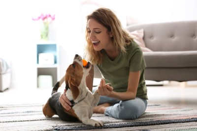 部屋で遊ぶ犬と女性