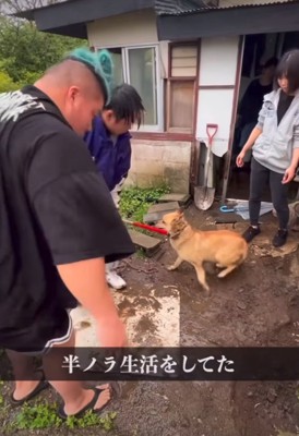 保護された瞬間の犬
