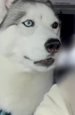「そん…な…！」
