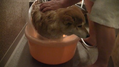 でもじっと耐えています!