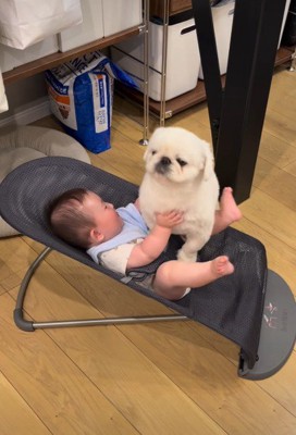 泣いちゃうかも…？