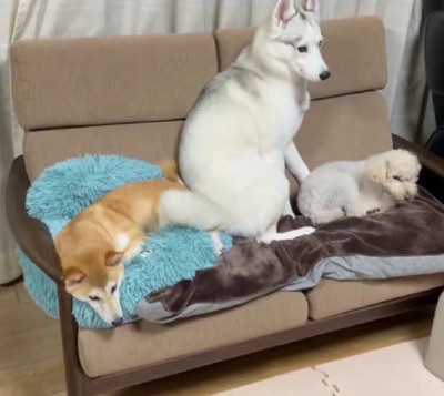 「わたしも混ぜて〜！」