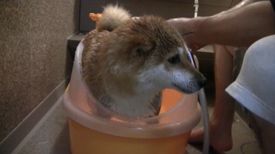「もう終わりにしません?」