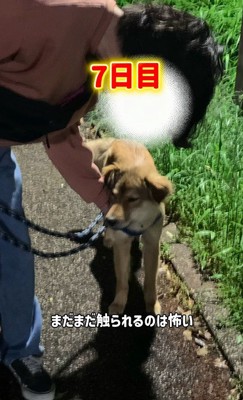 触ると怯えた表情に…