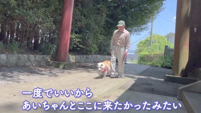 神社に到着しました♪