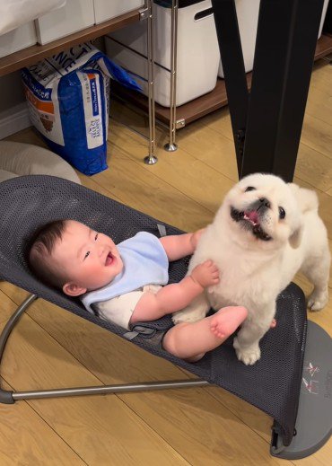 2人で笑い合う光景にホッコリ
