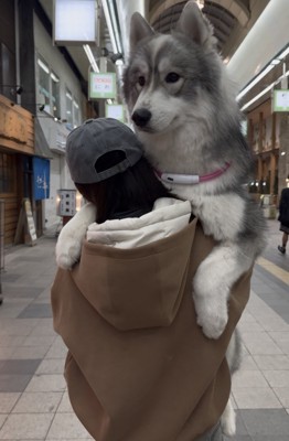 1歳