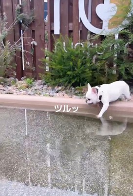 足を滑らせて…