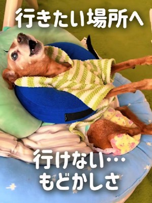 歩きたいのに歩けない