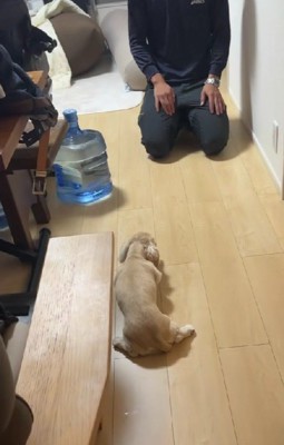 パパに叱られたむうちゃん