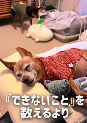 できないこともあるけれど…