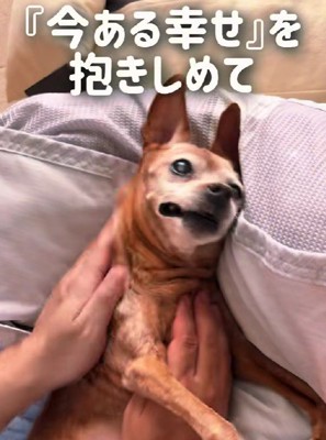 「今ここにある幸せ」