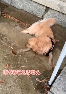 話、全然聞いてません