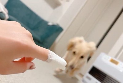 一直線