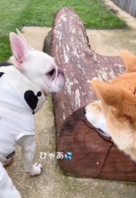 「怒ってる？やばい…」