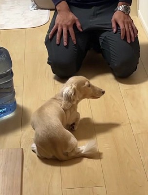 ビクッと反応する一幕も