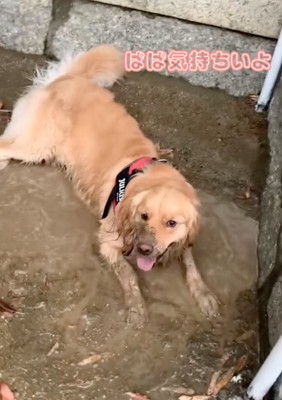 全身が泥だらけに