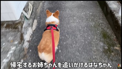 「帰るの？じゃあ私も！」