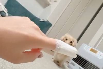 絆創膏