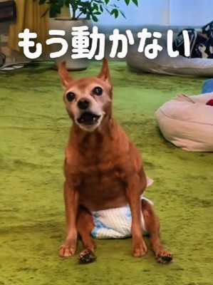 突然、歩けなくなった