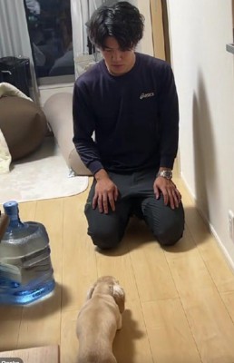 ぺちゃんこ低姿勢だけど…
