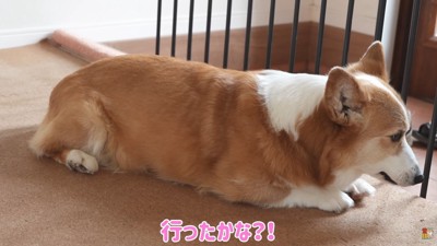 ちゃんと行ったか、耳を澄まして確認