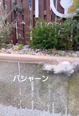 落ちてしまいました！
